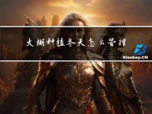 大棚种植冬天怎么管理视频