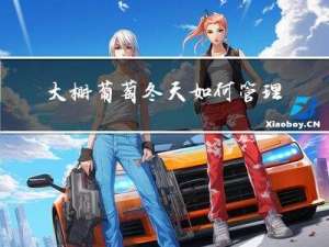 大棚葡萄冬天如何管理