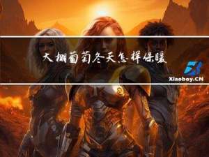 大棚葡萄冬天怎样保暖呢