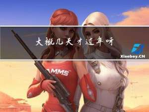 大概几天才过年呀