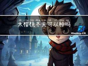 大樱桃冬天可以种吗