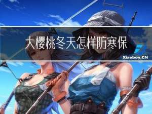 大樱桃冬天怎样防寒保存