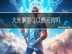 大米粥里可以煮元宵吗
