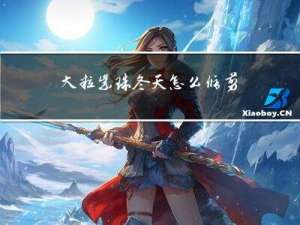 大粒紫珠冬天怎么修剪