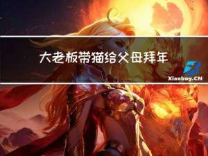 大老板带猫给父母拜年好吗