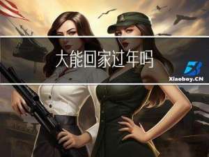 大能回家过年吗