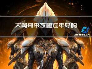 大舅哥来家里过年好吗