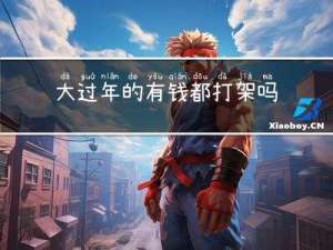 大过年的有钱都打架吗