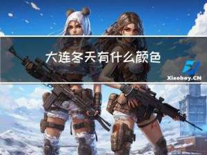 大连冬天有什么颜色