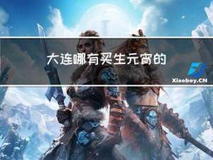 大连哪有买生元宵的