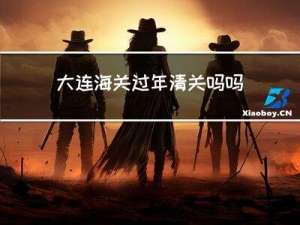 大连海关过年清关吗吗