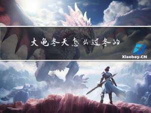 大龟冬天怎么过冬的