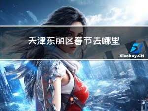 天津东丽区春节去哪里好玩