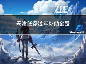 天津低保过年补助金是多少
