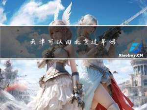 天津可以回北京过年吗吗