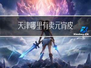 天津哪里有卖元宵皮