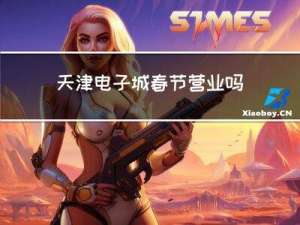 天津电子城春节营业吗