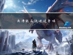 天津能反返进过年吗