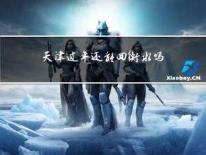 天津过年还能回衡水吗吗