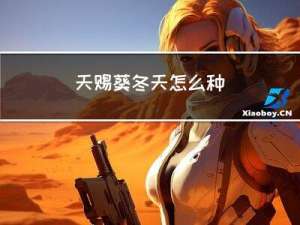 天赐葵冬天怎么种