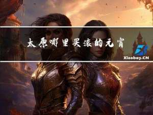 太原哪里买滚的元宵