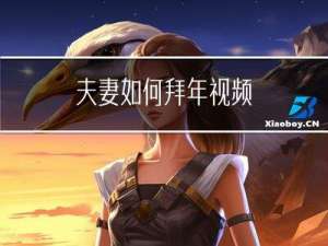 夫妻如何拜年视频