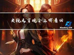 央视元宵晚会上哪看回放