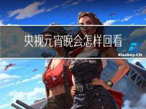 央视元宵晚会怎样回看