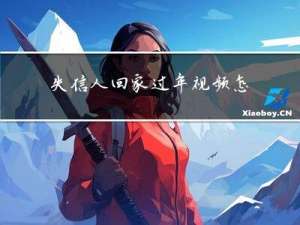 失信人回家过年视频怎么拍