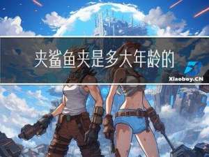 夹鲨鱼夹是多大年龄的发型