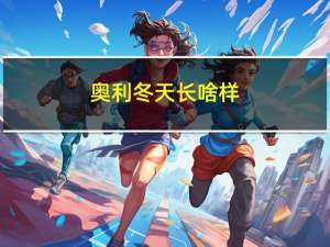 奥利冬天长啥样