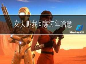 女人叫我回家过年啥意思