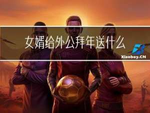 女婿给外公拜年送什么