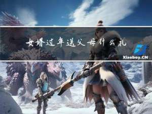 女婿过年送父母什么礼物