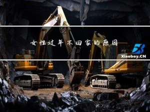 女性过年不回家的原因