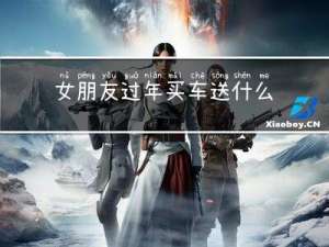 女朋友过年买车送什么好