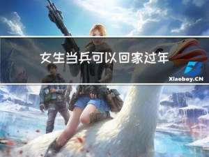 女生当兵可以回家过年吗