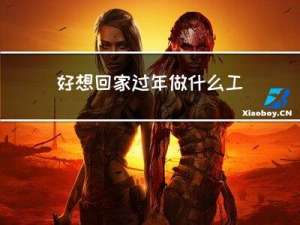 好想回家过年做什么工作