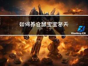 如何养仓鼠宝宝冬天