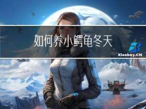 如何养小鳄龟冬天