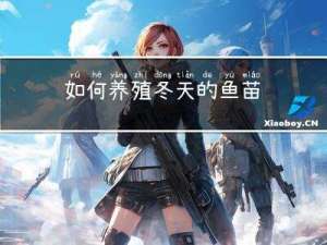 如何养殖冬天的鱼苗