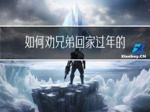 如何劝兄弟回家过年的话