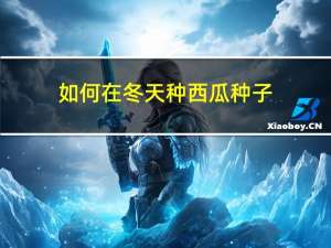 如何在冬天种西瓜种子