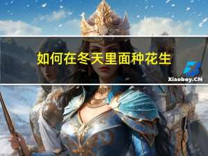 如何在冬天里面种花生