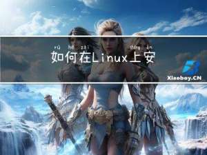 如何在 Linux 上安装和使用 exa？