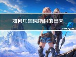 如何形容莫斯科的冬天