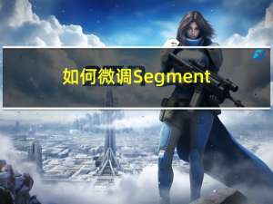 如何微调Segment Anything Model