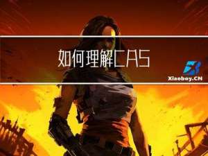 如何理解CAS