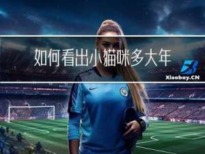 如何看出小猫咪多大年龄