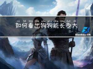 如何看出狗狗能长多大年龄